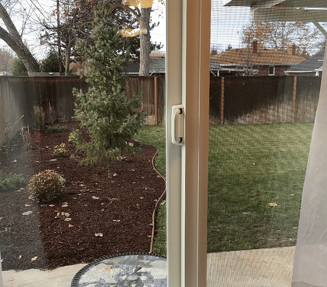 View from kitchen window.