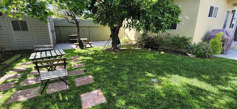 Yard