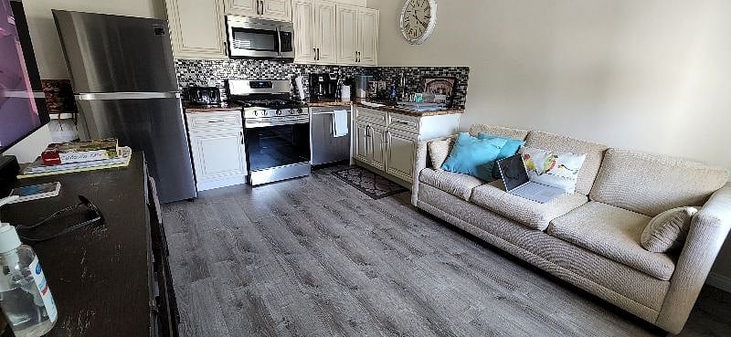 Living room/Kitchen area