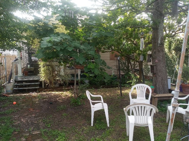 Furnished Finder property 277663_2 photo 10