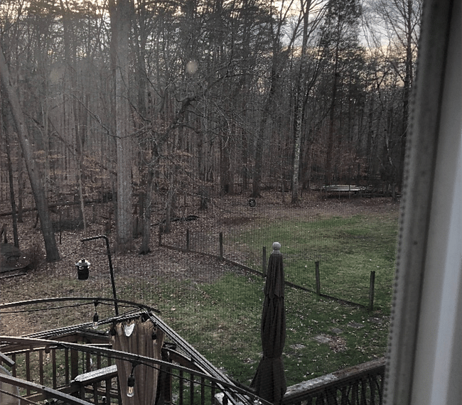 View of the backyard from the bedroom window.