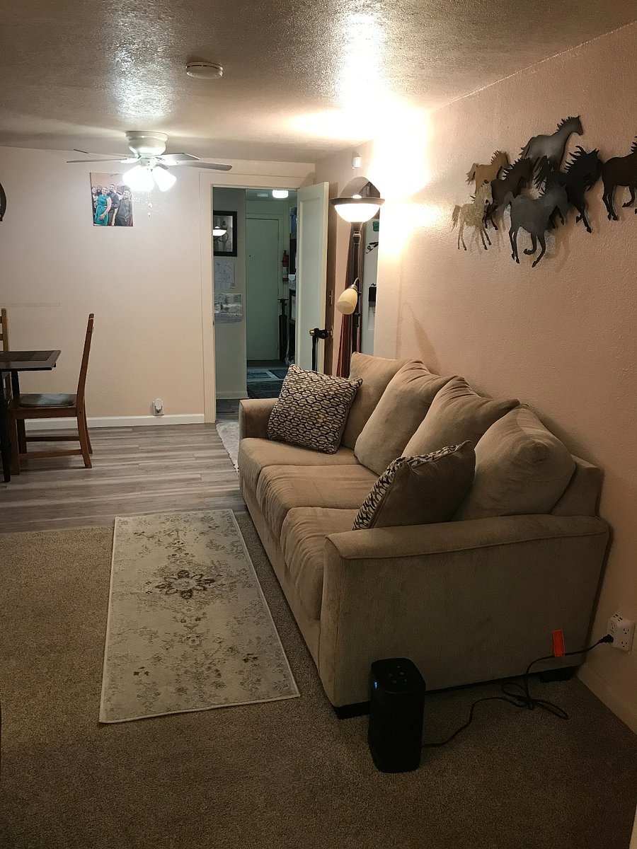 Furnished Finder property 278137_2 photo 28