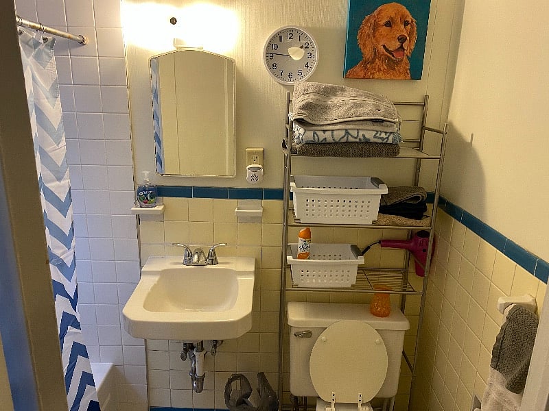 Furnished Finder property 278246_1 photo 25