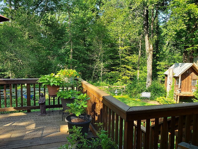 Furnished Finder property 278657_1 photo 14