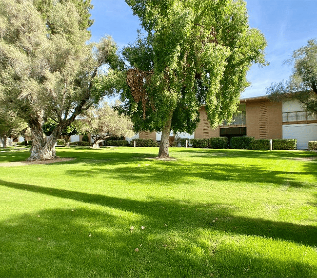 Furnished Finder property 278789_1 photo 23