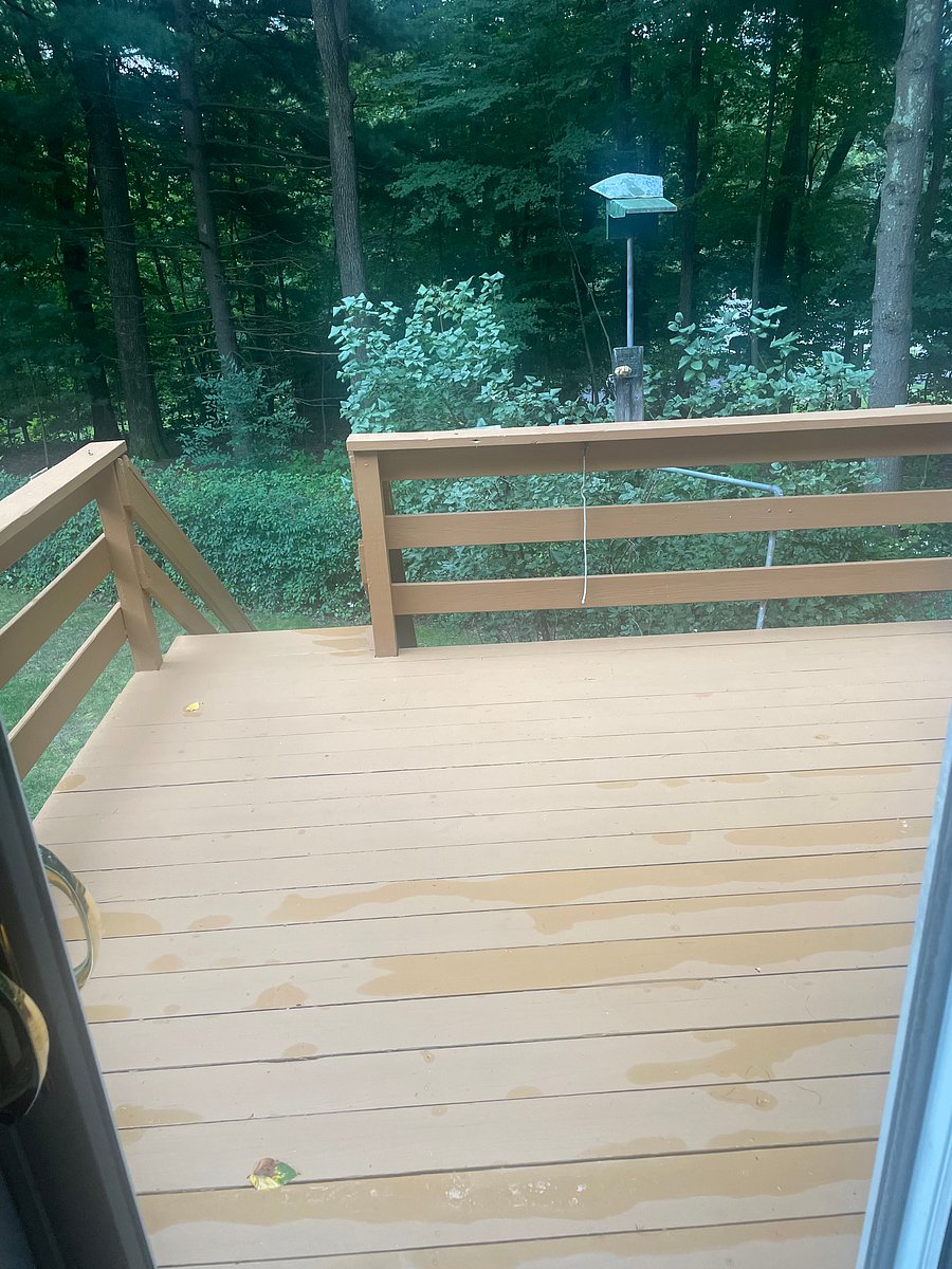Furnished Finder property 278810_1 photo 15