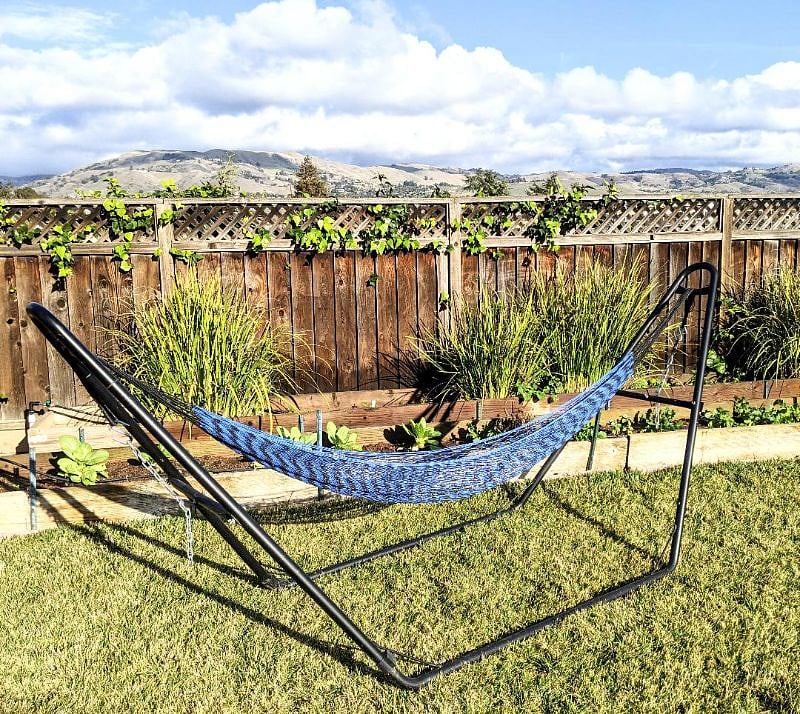 Hammocks available for reading and relaxation.