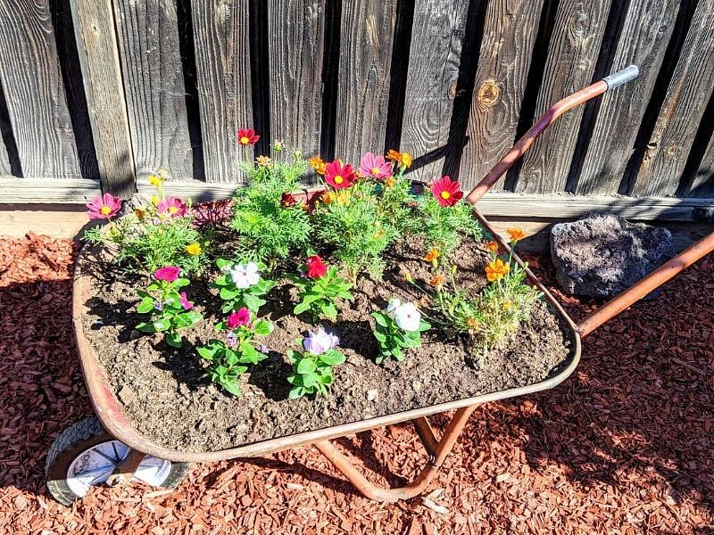 Flower Wheelbarrow
