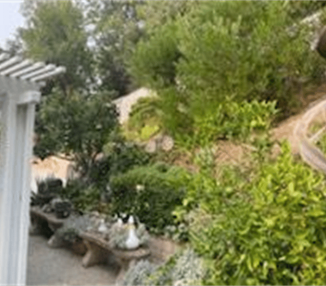 Green outdoors