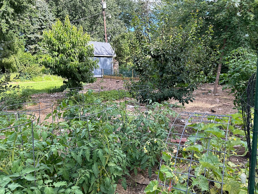 Vegetable gardens and fruit trees