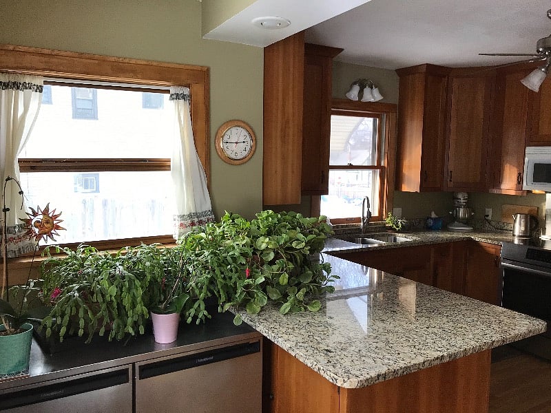 Furnished Finder property 279354_1 photo 4