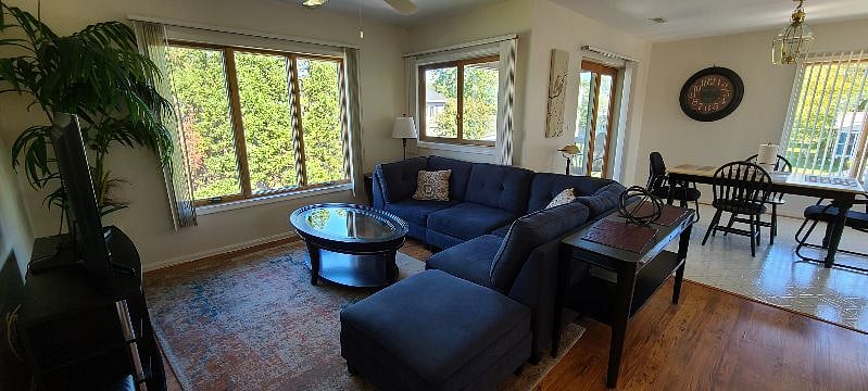 Furnished Finder property 279402_1 photo 3