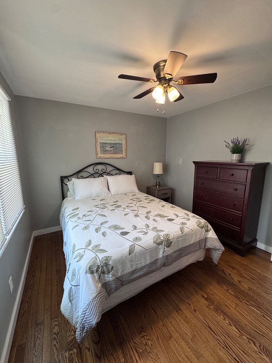 Furnished Finder property 279608_1 photo 26