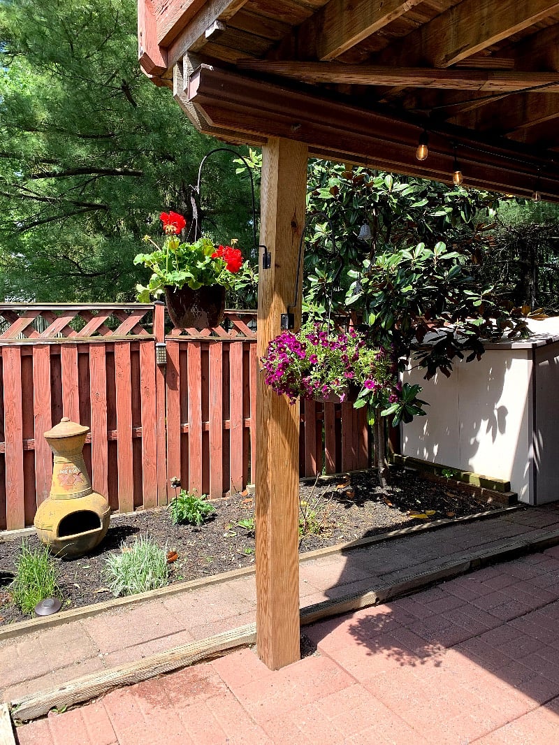 Garden area