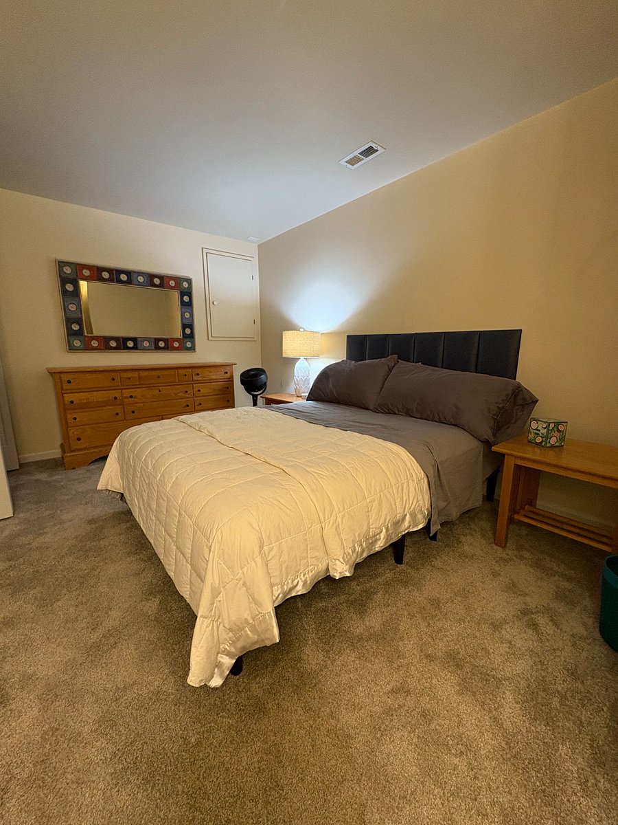 Furnished Finder property 279649_1 photo 22