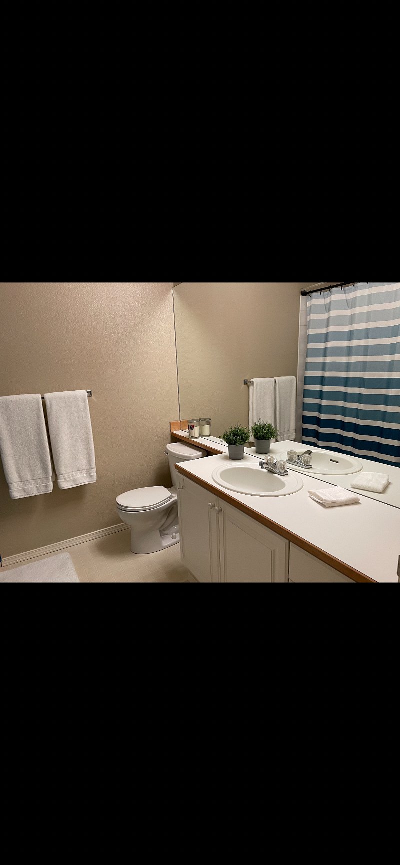 Furnished Finder property 279709_1 photo 13