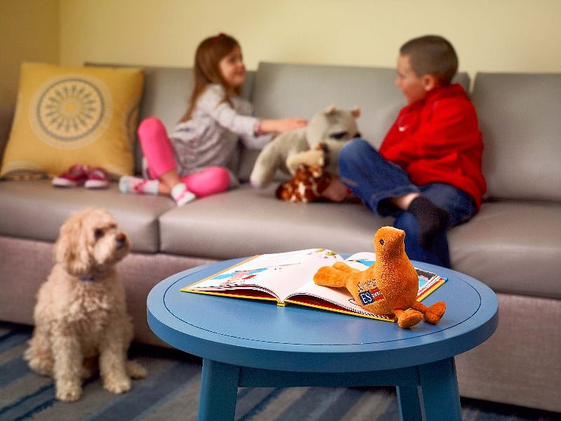 We are pet friendly. Dogs and cats only. Max 2 pets per room.