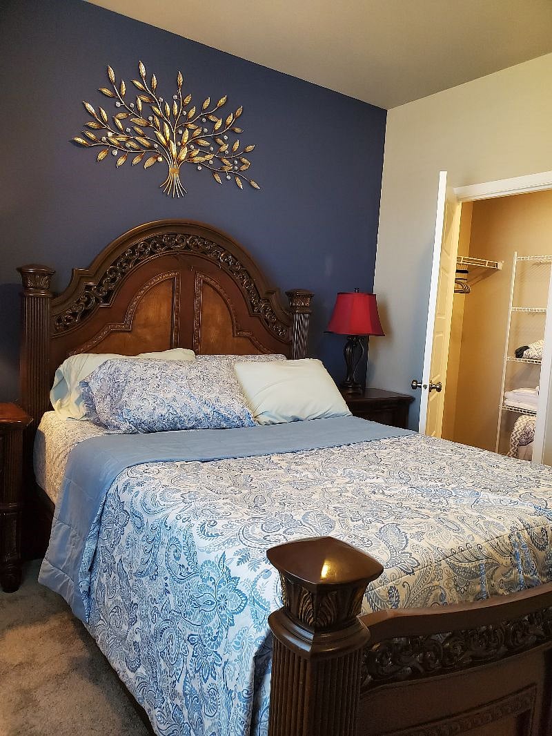 Bedroom with walk-in closet