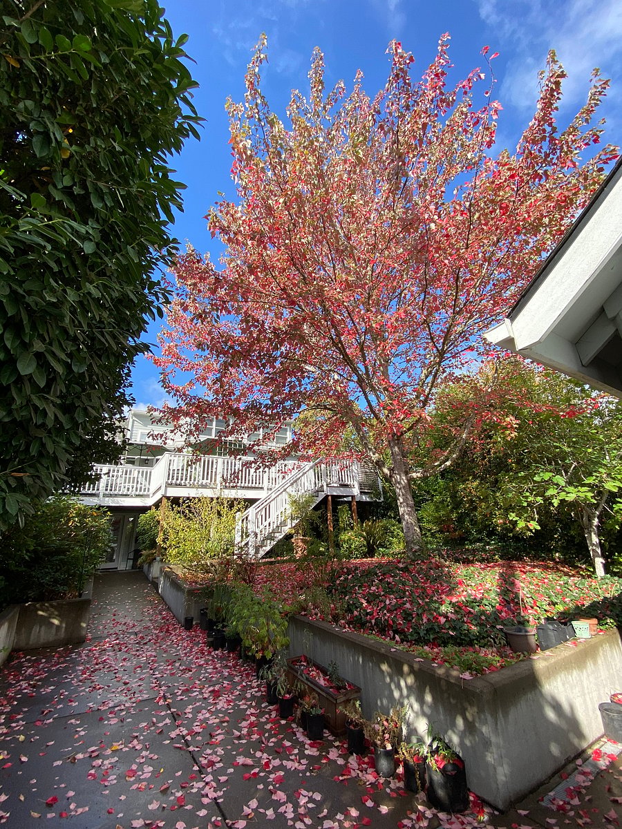 Furnished Finder property 280202_1 photo 15