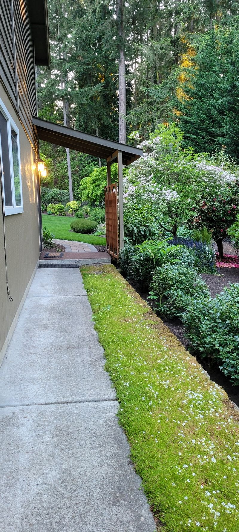 Walkway to apartment entrance