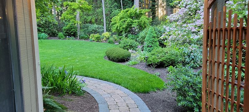 walkway to back yard