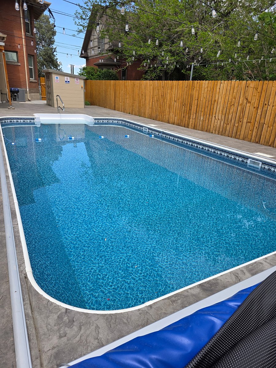 Swimming Pool in Backyard