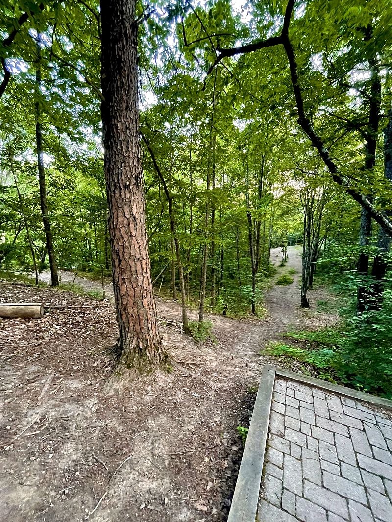 Furnished Finder property 280619_1 photo 21
