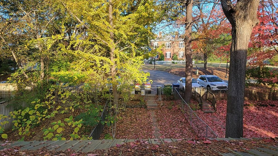 Furnished Finder property 280646_1 photo 7