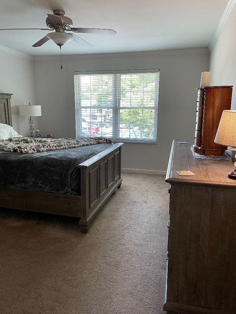 Furnished Finder property 280877_1 photo 13