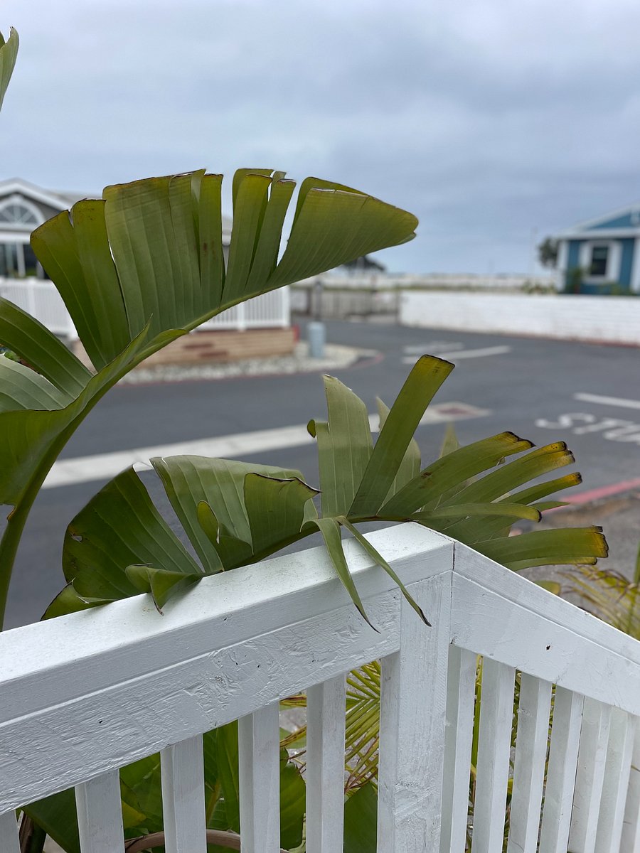 View out your door from YOUR PRIVATE DECK SPACE TO THE BEACH