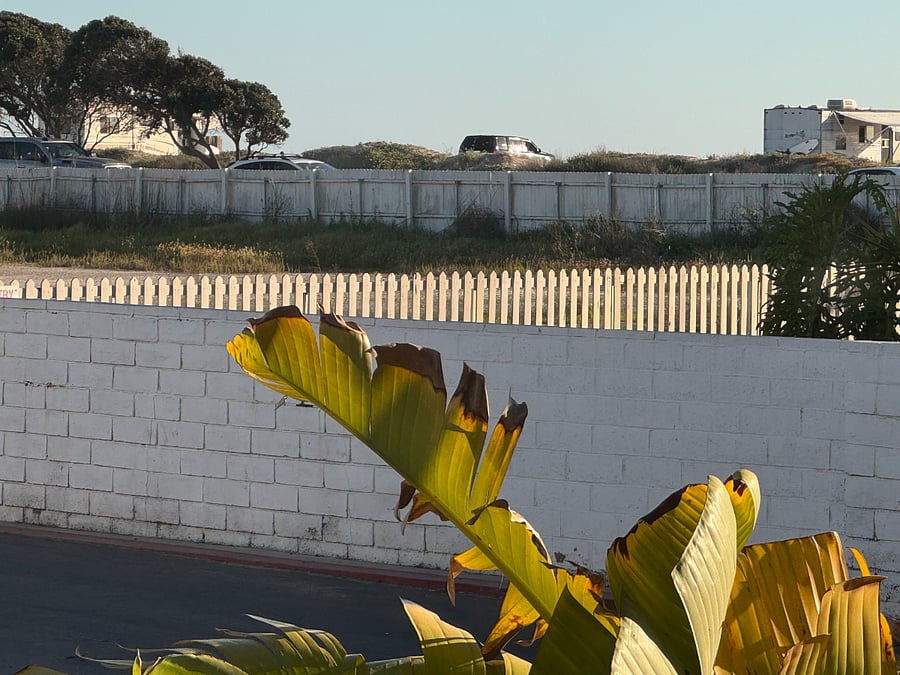 View outside your bedroom window; walk two minutes to the beach across the street!