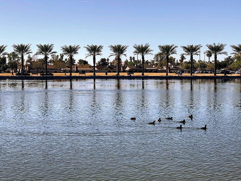 Mesa River View Park within walking distance from the property.