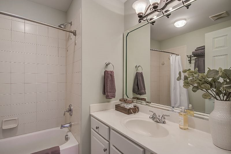 Furnished Finder property 281059_1 photo 18