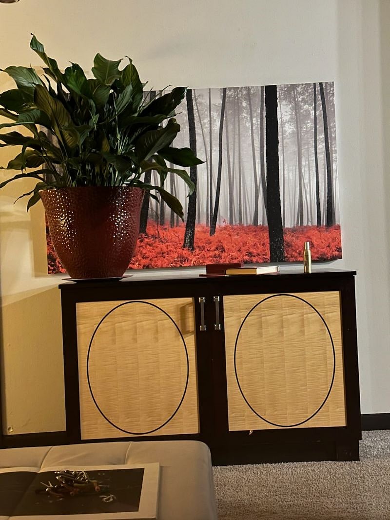 Furnished Finder property 281166_1 photo 23