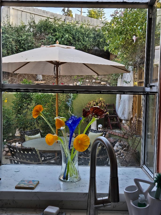 Kitchen Window