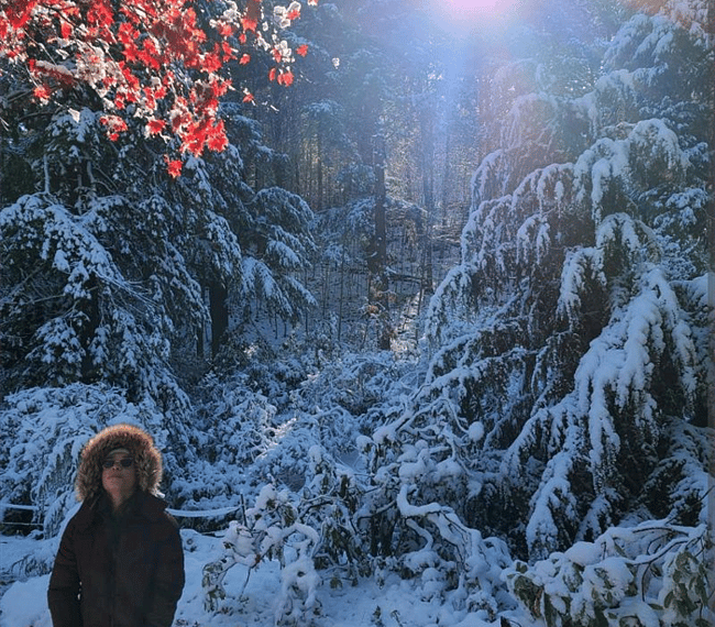  Arboretum (beautiful park near by)