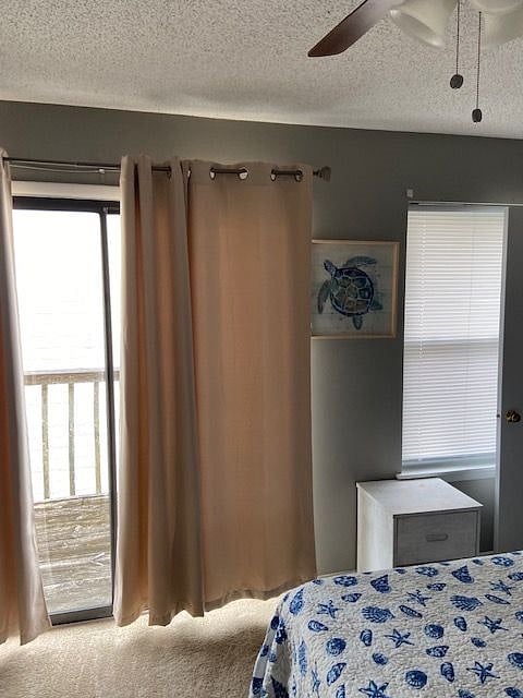 Furnished Finder property 281495_1 photo 29