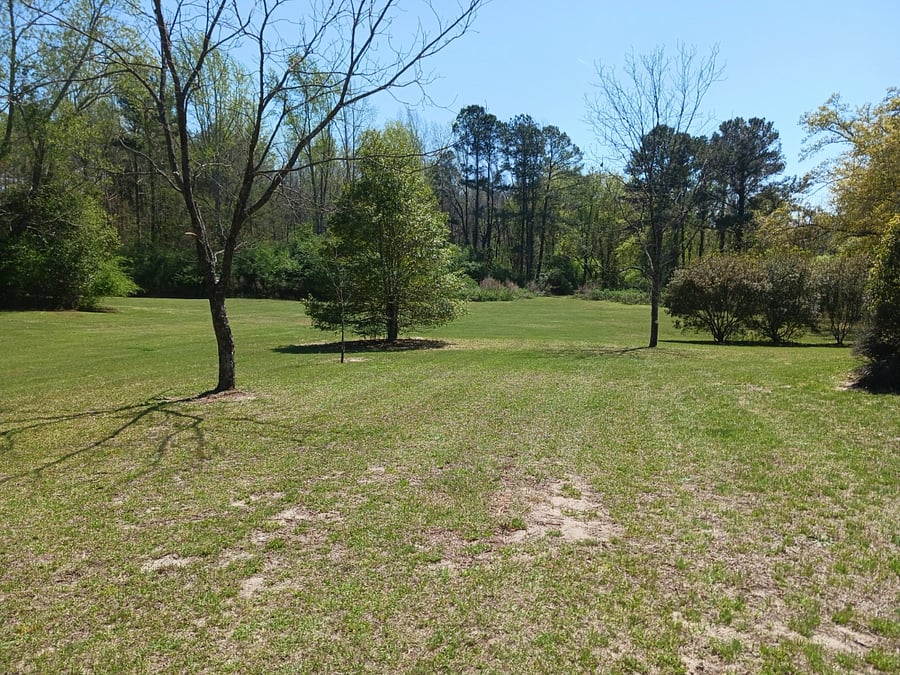 Furnished Finder property 281633_1 photo 21