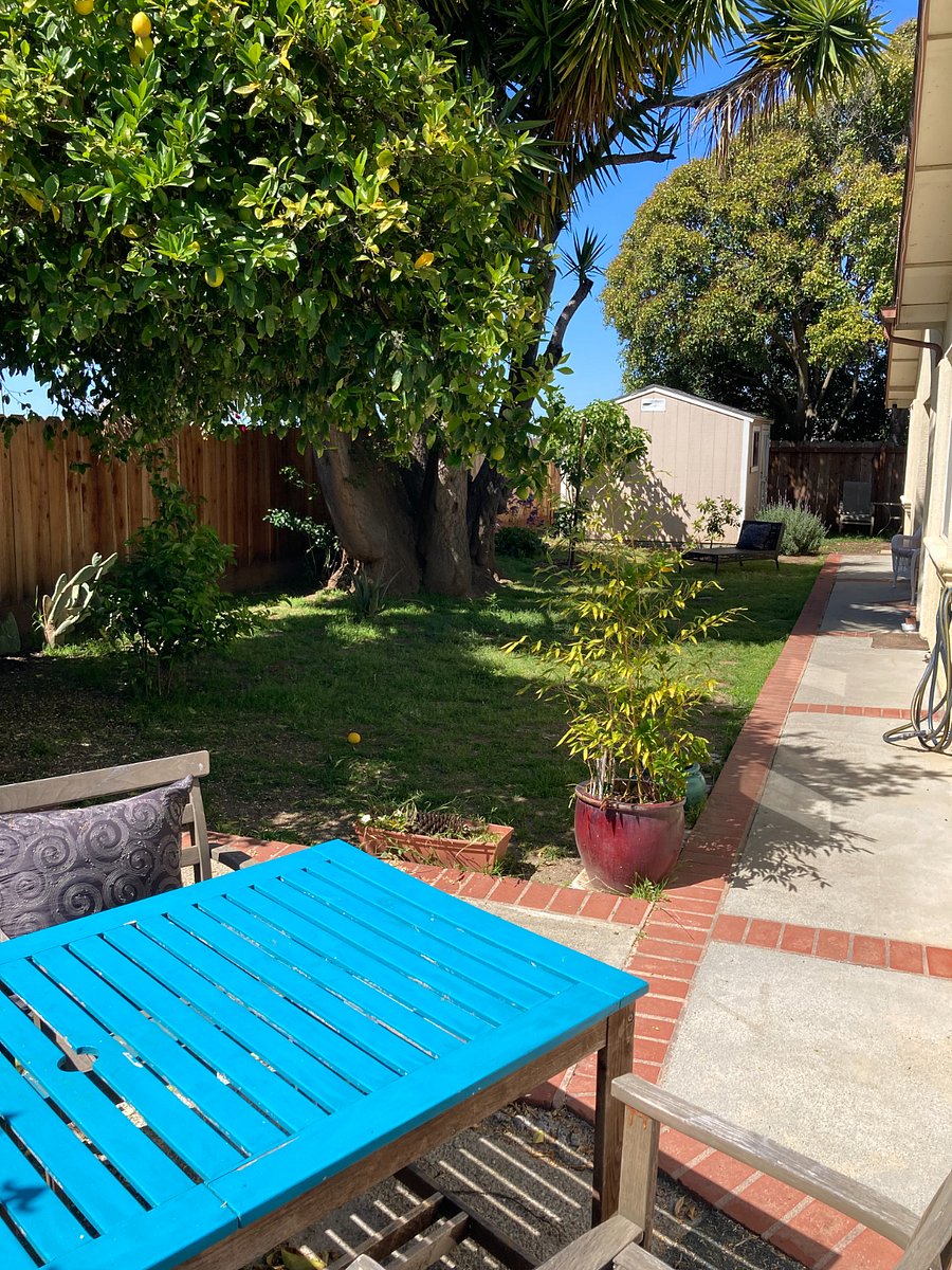 Furnished Finder property 281804_1 photo 10