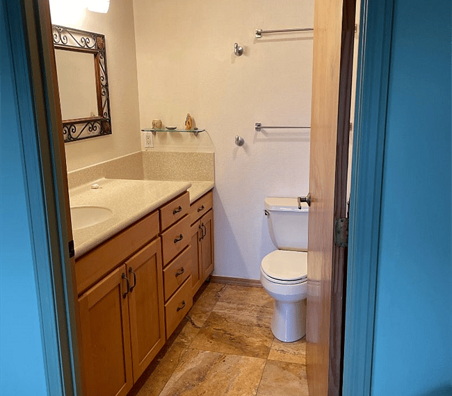 The master bathroom is modern and stylish with shower, toilet and vanity