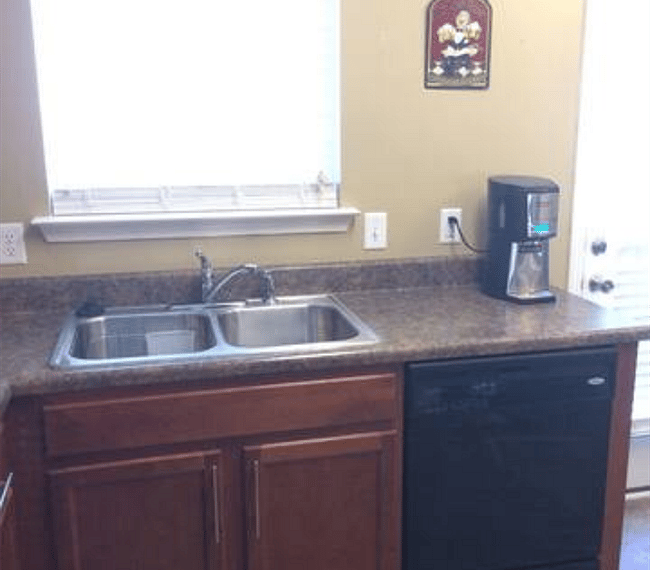 Disposal and dishwasher