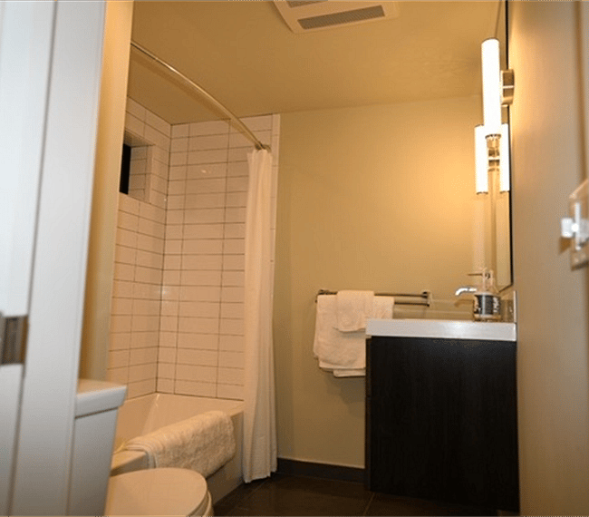 Furnished Finder property 282313_1 photo 13