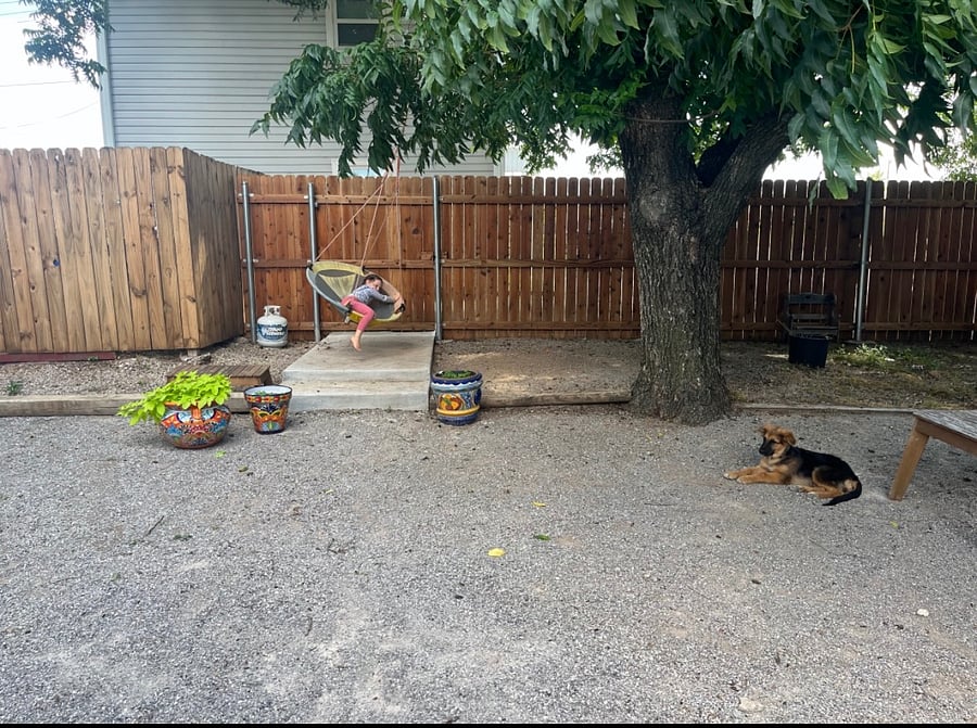 Back Yard