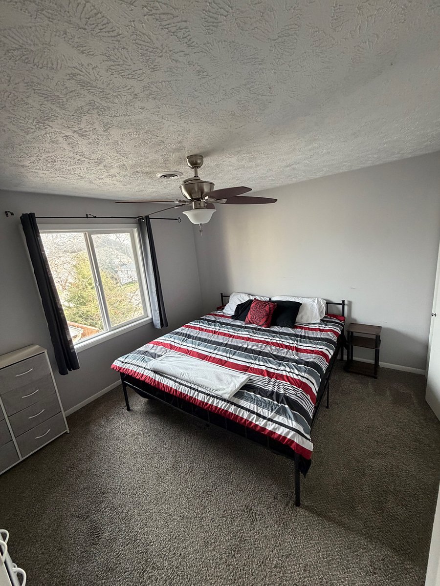 Furnished Finder property 282342_1 photo 12
