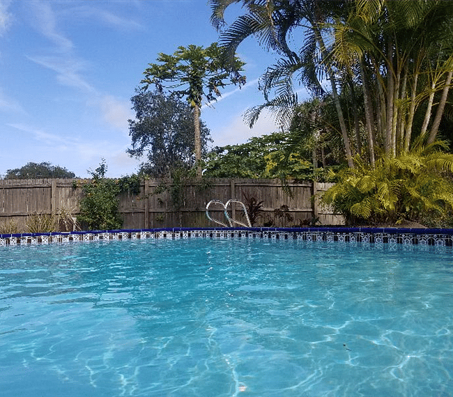 Fully fenced backyard with swimming pool 