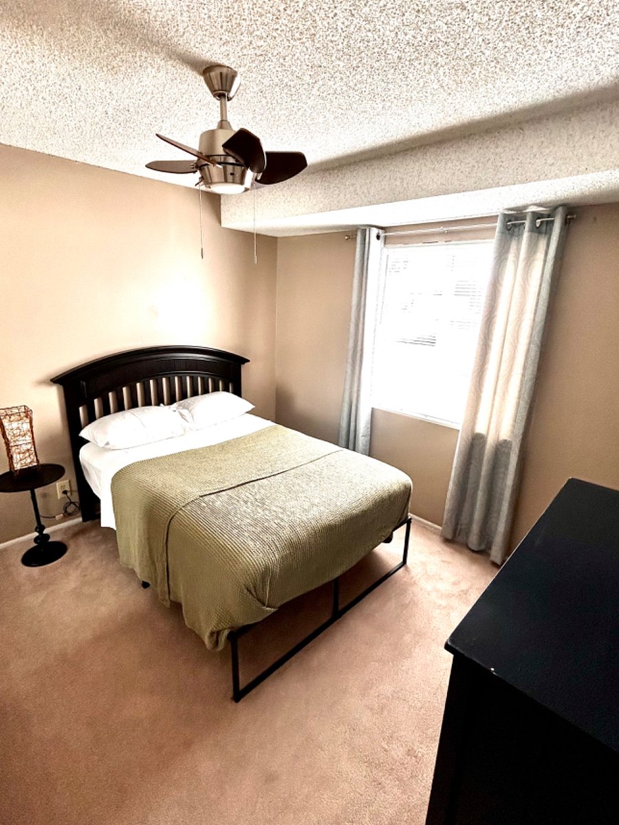 Furnished Finder property 283031_1 photo 13