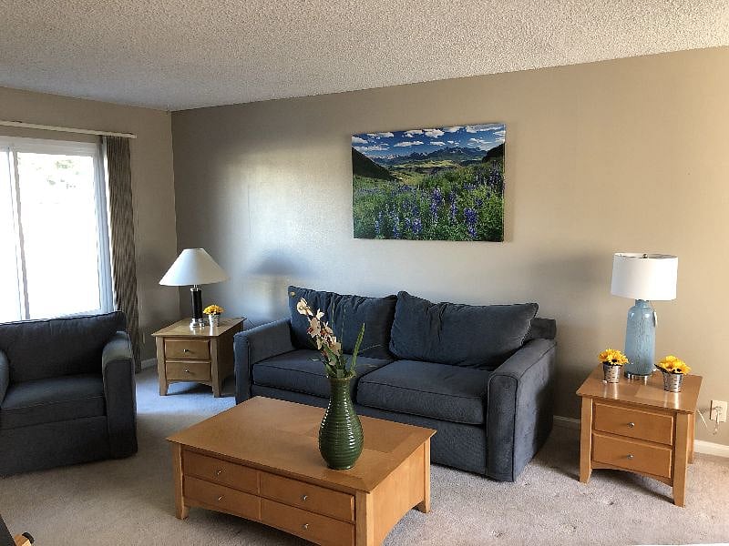 Furnished Finder property 283031_1 photo 3