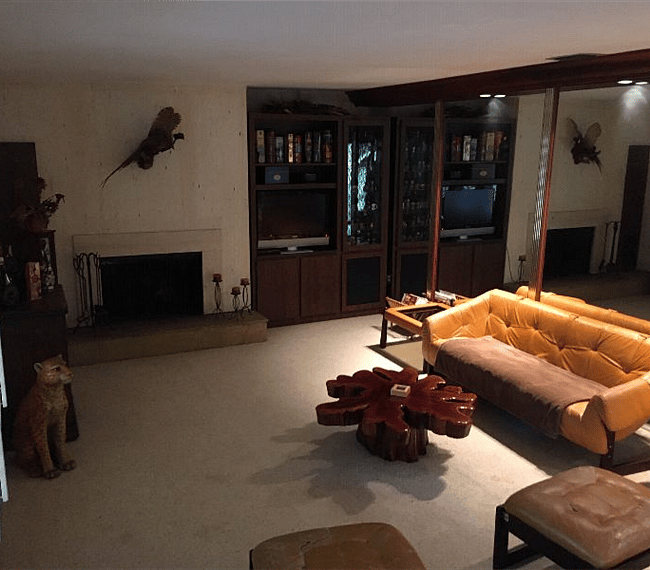 Den with fireplace.