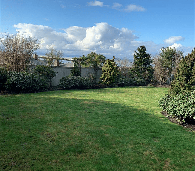 Back yard with peek-a-view of Puget Sound.