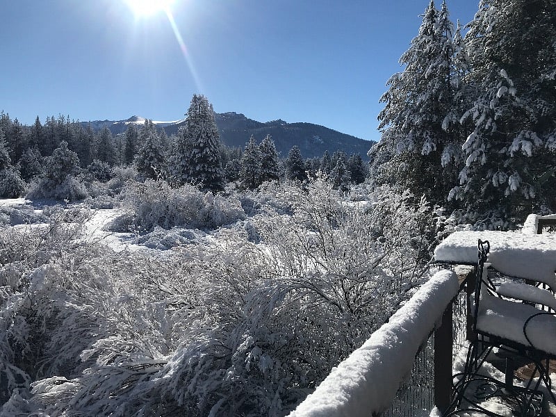 Open view of Trout Creek meadow from deck, living room and kitchen (view south)